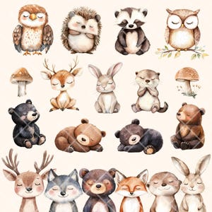 Puede incluir: Ilustraciones de acuarela de varios animales del bosque, incluyendo b&uacute;hos, erizos, mapaches, ciervos, conejos, osos y nutrias. Los animales est&aacute;n representados en un estilo lindo y caprichoso, con colores suaves y detalles delicados.