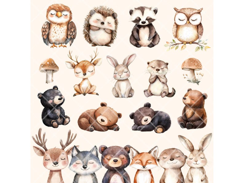 Puede incluir: Ilustraciones de acuarela de varios animales del bosque, incluyendo b&uacute;hos, erizos, mapaches, ciervos, conejos, osos y nutrias. Los animales est&aacute;n representados en un estilo lindo y caprichoso, con colores suaves y detalles delicados.