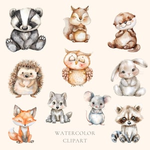 Op de afbeelding: Waterverf clipart met een verzameling schattige bosdieren, waaronder een das, een eekhoorn, een otter, een uil, een egel, een konijn, een wolf, een muis, een vos en een wasbeer. De dieren zijn allemaal afgebeeld in een speelse stijl met zachte kleuren en delicate details.