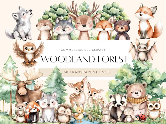 Woodland Animals Clipart Watercolor Clipart Woodland Baby Shower Clipart Cute Woodland Animals Clipart Woodland Nursery Boho Baby Clipart