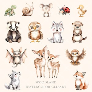 Puede incluir: Clipart de acuarela con animales del bosque, incluyendo un zorro, un ciervo, un b&uacute;ho, un lobo, un murci&eacute;lago, un tej&oacute;n, una nutria, un caracol, una tortuga, una mariquita y un rat&oacute;n. Los animales est&aacute;n pintados en un estilo caprichoso con colores suaves.