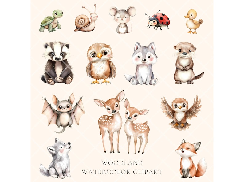 Puede incluir: Clipart de acuarela con animales del bosque, incluyendo un zorro, un ciervo, un b&uacute;ho, un lobo, un murci&eacute;lago, un tej&oacute;n, una nutria, un caracol, una tortuga, una mariquita y un rat&oacute;n. Los animales est&aacute;n pintados en un estilo caprichoso con colores suaves.