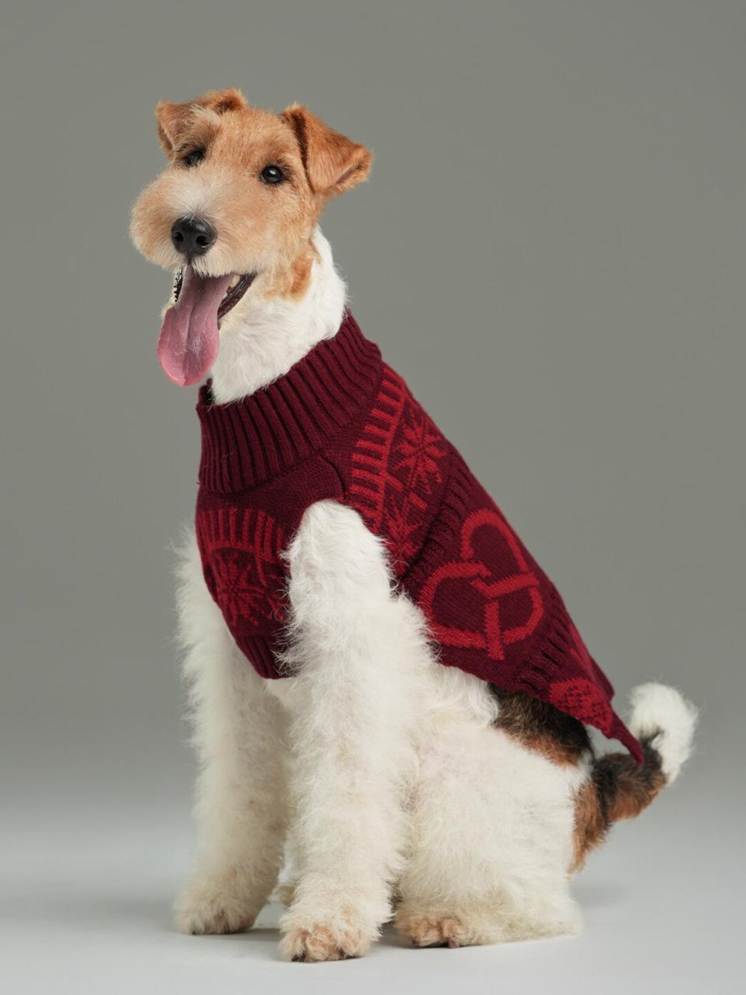 Pretzel Pet Sweater - Burgundy Red - Etsy
