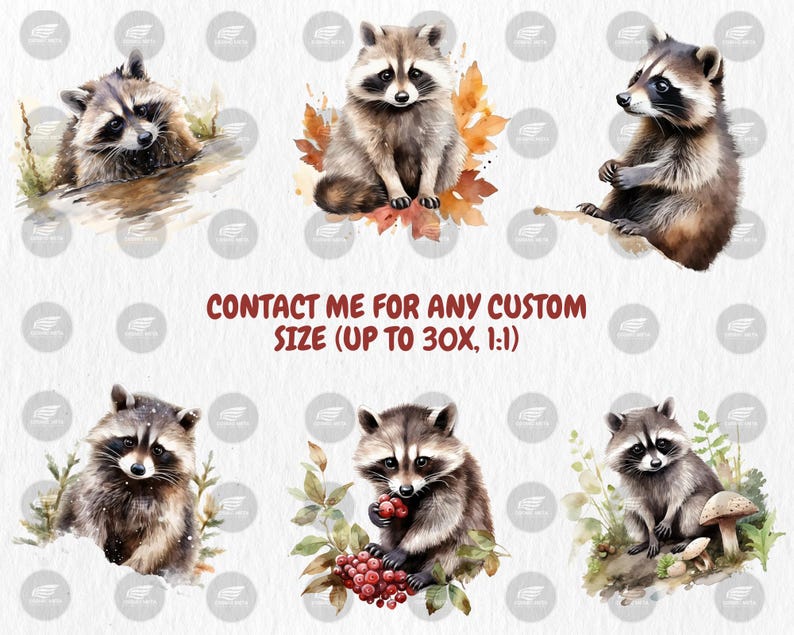 Watercolor Raccoons Clipart | Digital Set of 40 Raccoon Designs, Cute Woodland Animal Illustrations | Instant Download for Commercial Use