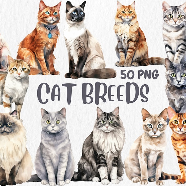 Watercolor Cat Breeds Clipart | British Shorthair, Scottish Fold, Siamese, Turkish Angora, Illustrations Instant Download for Commercial Use