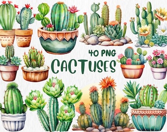 Watercolor Cactus Clipart: Desert Succulents Illustrations (Instant Download)