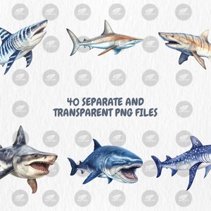 Watercolor Sharks Clipart | Great White Shark, Tiger Shark, Bull Shark, Sea Animal Illustrations | Instant Download for Commercial Use