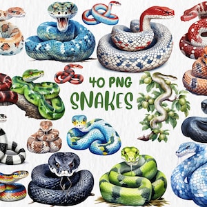 Clipart aquarel slangen | Cobra, zwarte mamba, anaconda, adder, ratelslang, dierenillustratie | Directe download voor commercieel gebruik