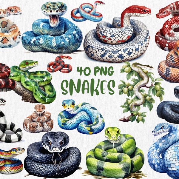 Watercolor Snakes Clipart | Cobra, Black Mamba, Anaconda, Viper, Rattlesnake, Animal Illustration | Instant Download for Commercial Use