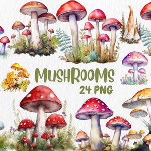 Aquarell Pilz Clipart: 24 PNG Illustrationen (Instant Download)