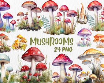 May include: A collection of 24 watercolor illustrations of mushrooms in various colors and shapes, including red, yellow, orange, purple, and blue. The mushrooms are depicted with intricate details and are set against a white background. The text "Mushrooms 24 PNG" is displayed in green letters.