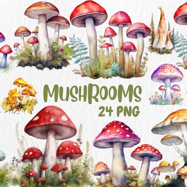 Aquarelle de champignons champignons | Clipart champignon peint | Illustrations de champignons | Graphiques PNG | Téléchargement instantané pour une utilisation commerciale