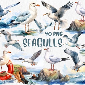 Gaviotas en acuarela / Gráficos de aves costeras, 40 imágenes PNG transparentes, arte digital con temática oceánica para manualidades y bricolaje, uso comercial
