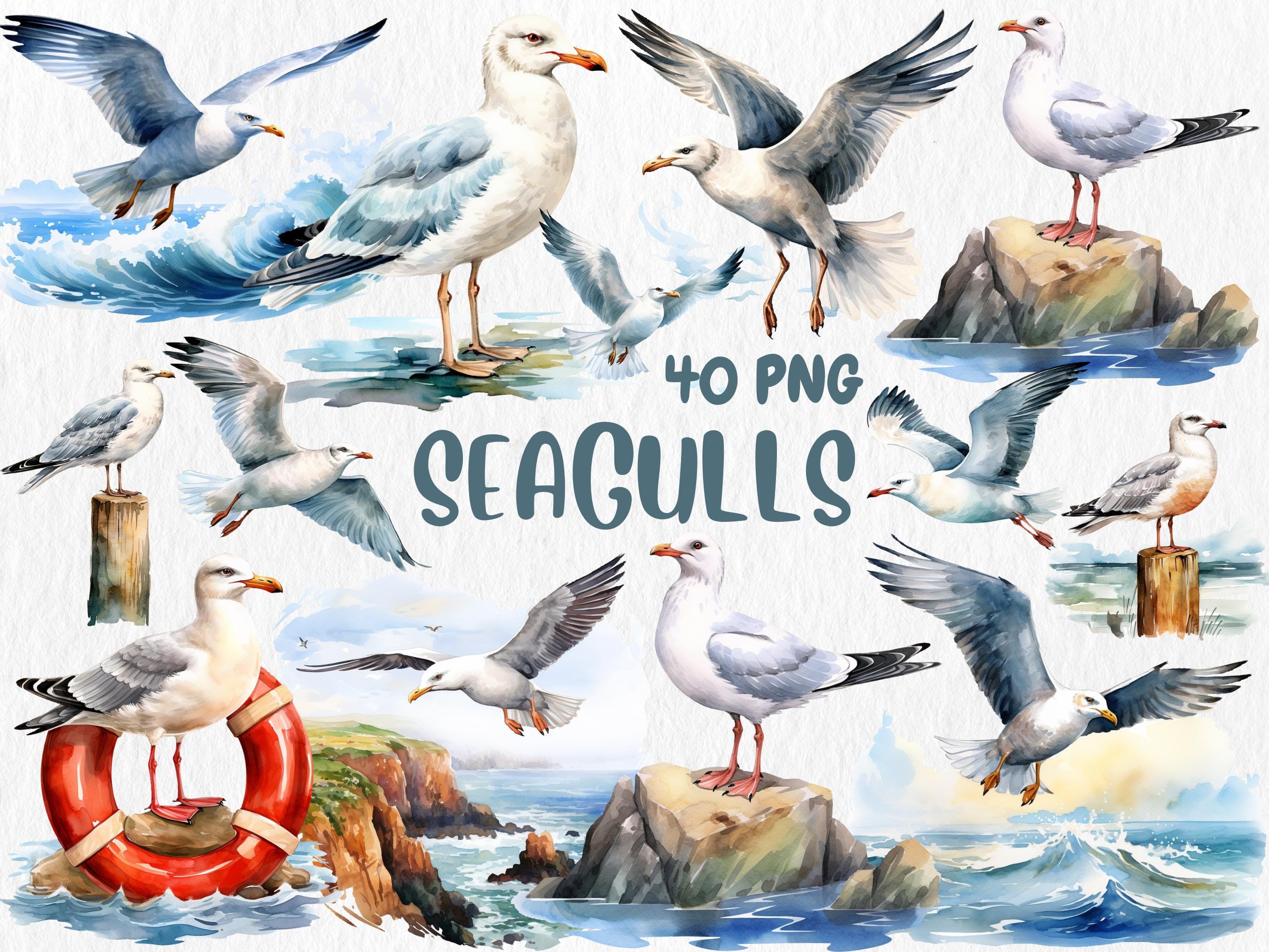 Watercolor Seagulls Clipart | Coastal Bird Graphics, 40 PNG Transparent Images, Ocean Theme Digital Art for Crafts & DIY, Commercial Use