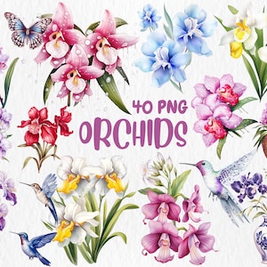 Watercolor Orchids Clipart: Floral Bouquet Illustrations (Instant Download)