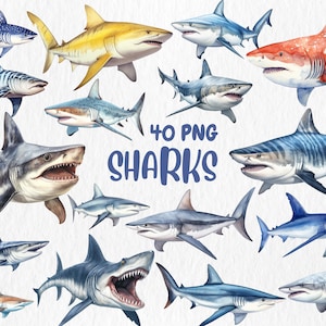 Watercolor Sharks Clipart | Great White Shark, Tiger Shark, Bull Shark, Sea Animal Illustrations | Instant Download for Commercial Use