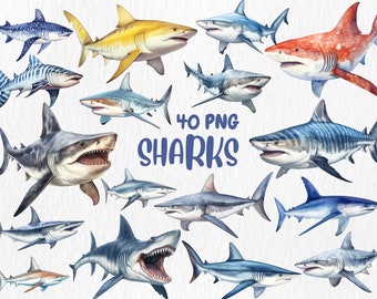 Watercolor Sharks Clipart: Sea Animal Illustrations (Instant Download)