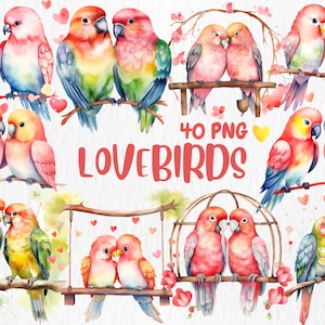 Watercolor Lovebirds Clipart | Valentine's Day, Romantic, Cute Adorable Bird Couple Illustrations | Instant Download for Commercial Use