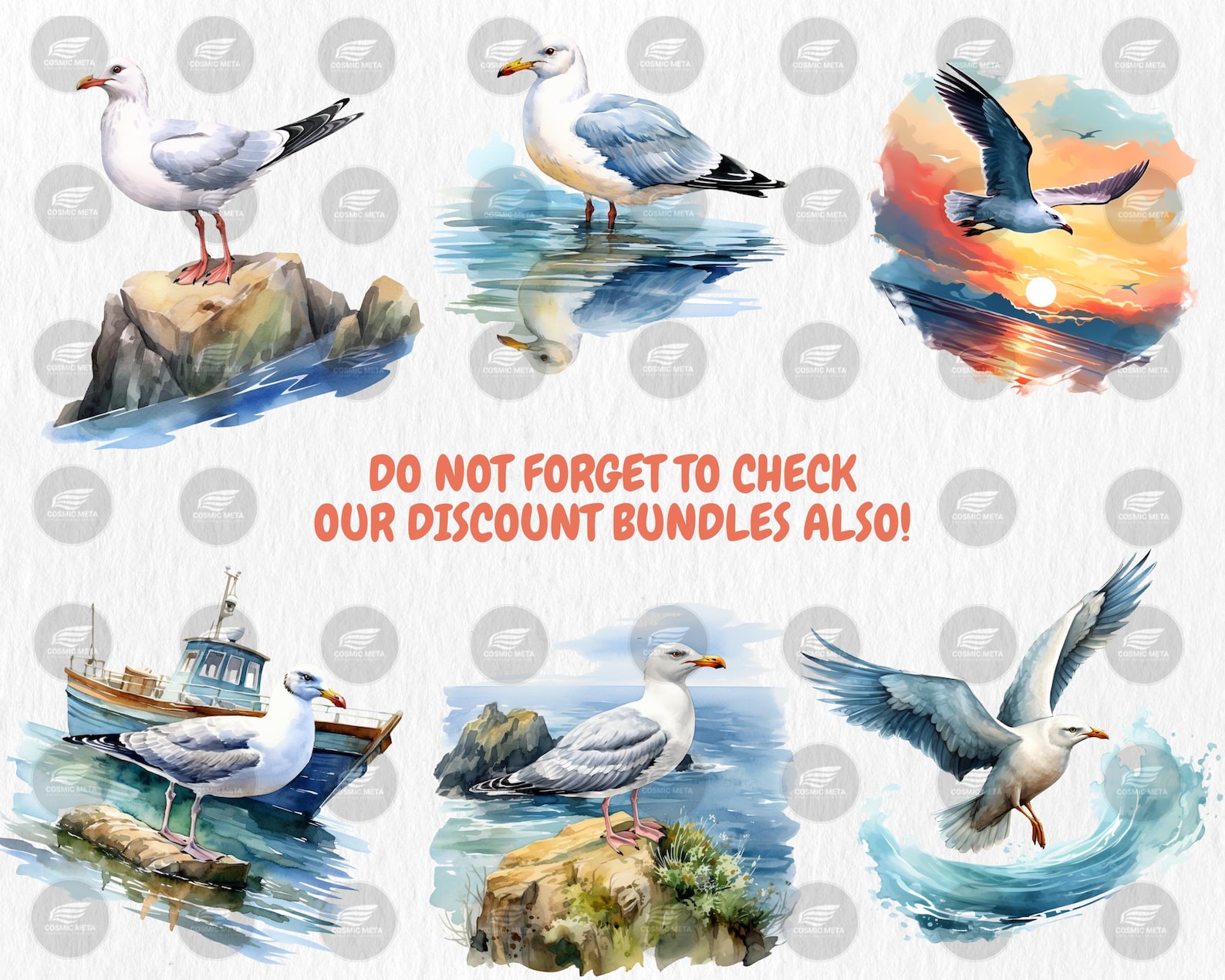 Watercolor Seagulls Clipart: 40 Coastal Bird PNG Images (digital ...