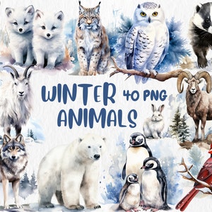 Imágenes prediseñadas de animales de invierno en acuarela: ilustraciones de osos polares, pingüinos, leopardos de las nieves, focas y cardenales. Descarga instantánea para uso comercial
