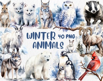 Watercolor Winter Animals Clipart: Arctic Creature Illustrations (Digital Download)