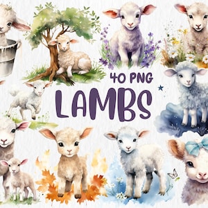 Watercolor Lamb Clipart: 40 PNG Illustrations for Nursery Decor (Digital Download)