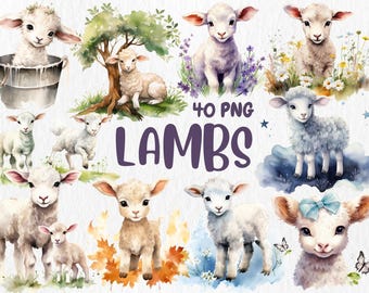 Watercolor Lamb Clipart: 40 PNG Illustrations for Nursery Decor (Digital Download)