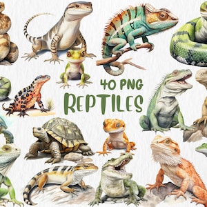 Imágenes prediseñadas de reptiles en acuarela: camaleón, lagarto, serpiente, tortuga, iguana, ilustración de animales / Descarga instantánea para uso comercial