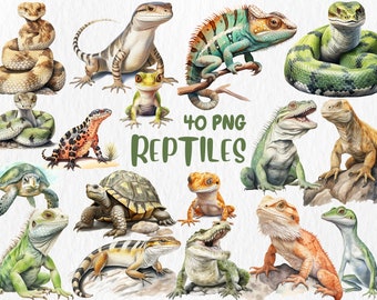 Watercolor Reptiles Clipart | Chameleon, Lizard, Snake, Turtle, Tortoise, Iguana, Animal Illustration | Instant Download for Commercial Use