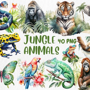 Clipart de animais da selva em aquarela | Ilustrações de papagaio, tigre, macaco, sapo, preguiça, gorila, cobra | Download instantâneo para uso comercial