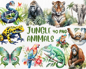 Aquarelle animaux de la jungle des cliparts | Illustrations de perroquet, tigre, singe, grenouille, paresseux, gorille, serpent | Téléchargement instantané pour une utilisation commerciale