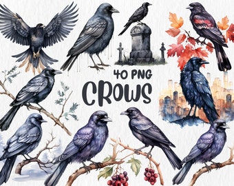 Watercolor Crow Clipart: Gothic Bird Illustrations (PNG Digital Download)