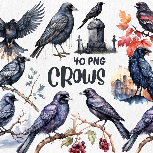 Watercolor Crows Clipart | Black Bird, Gothic Animal, Dark and Mystic Element, Crow Illustrations | Instant Download for Commercial Use