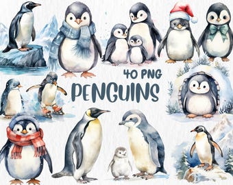 Watercolor Penguin Clipart: 40 Winter Animal PNG Images (Digital Download)