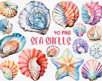 Watercolor Sea Shells Clipart: 40 PNG Illustrations (Instant Download)