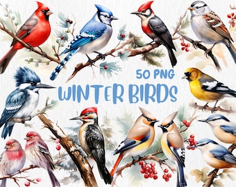 Watercolor Winter Birds Clipart: 50 PNG Illustrations (Commercial Use)