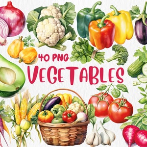 Aquarelle Légumes Clipart | Illustrations d'oignon, de tomate, de carotte, de maïs, d'avocat, d'ail et d'aubergine | Téléchargement instantané pour une utilisation commerciale