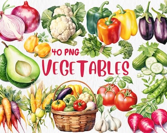 Watercolor Vegetable Clipart: 40 PNG Illustrations (Commercial Use)