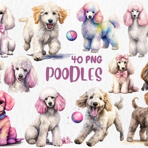 Watercolor Poodles Clipart | Cute Dog, Puppy, Animal, Dog Breed, Dog Lover PNG, Pet Illustrations | Instant Download for Commercial Use