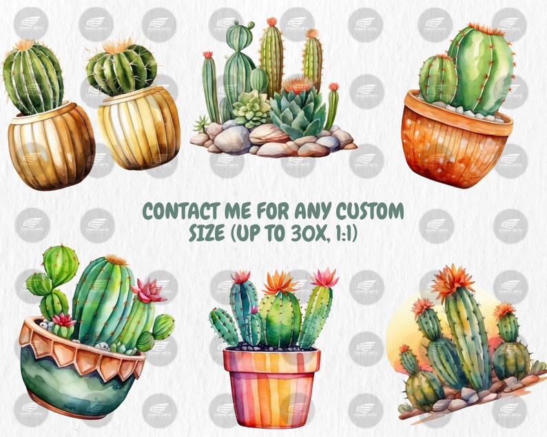 Watercolor Cactuses Clipart | Cacti, Succulent, Wild West, Mexican Floral, Desert Cactus Illustrations | Instant Download for Commercial Use
