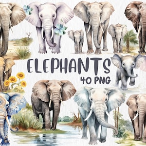 Watercolor Elephants Clipart | Painted Elephants Illustrations | Cute Animal, Baby Elephant Clipart | Instant Download for Commercial Use