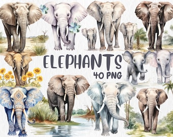 Akvarell elefant clipart: 40 djurillustrationer (direkt nedladdning)