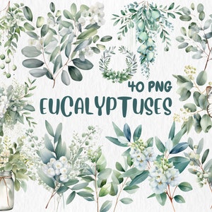 Aquarel eucalyptus clipart | Lentebloem, bloemenboeket, groen, groen bladillustraties | Directe download voor commercieel gebruik