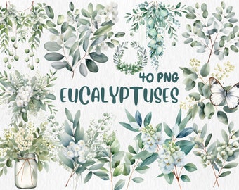 Clipart de eucalipto en acuarela: ilustraciones de ramos florales (uso comercial, descarga digital)