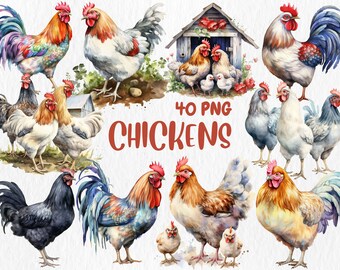 Clipart aquarel kippen: boerderijillustraties (directe download)