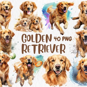 Aquarell Golden Retriever Clipart | Süße Hundegrafik für Haustier-Themen Basteln und Dekorieren, 40 PNG-Dateien | Sofort Download für kommerzielle Nutzung