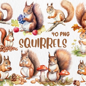Clipart de ardillas en acuarela / Ardilla feliz, animal del bosque, ilustraciones de animales del bosque / Descarga instantánea para uso comercial