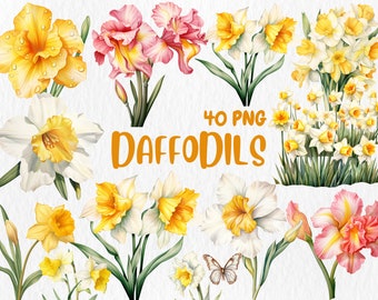 Aquarel narcissen clipart | Lentebloem, bloemenboeket, gele bloem, narcisillustraties | Direct downloaden voor commercieel gebruik