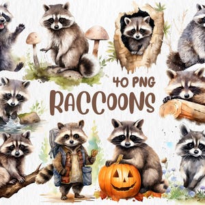 Clipart de guaxinins em aquarela | Conjunto digital com 40 designs de guaxinins e ilustrações fofas de animais da floresta | Download instantâneo para uso comercial
