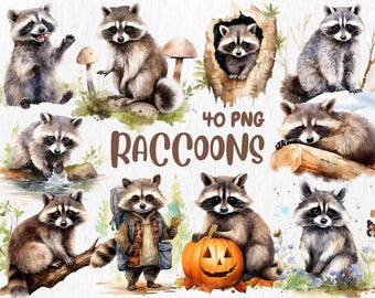 Watercolor Raccoon Clipart: 40 Woodland Animal Designs (Digital Download)